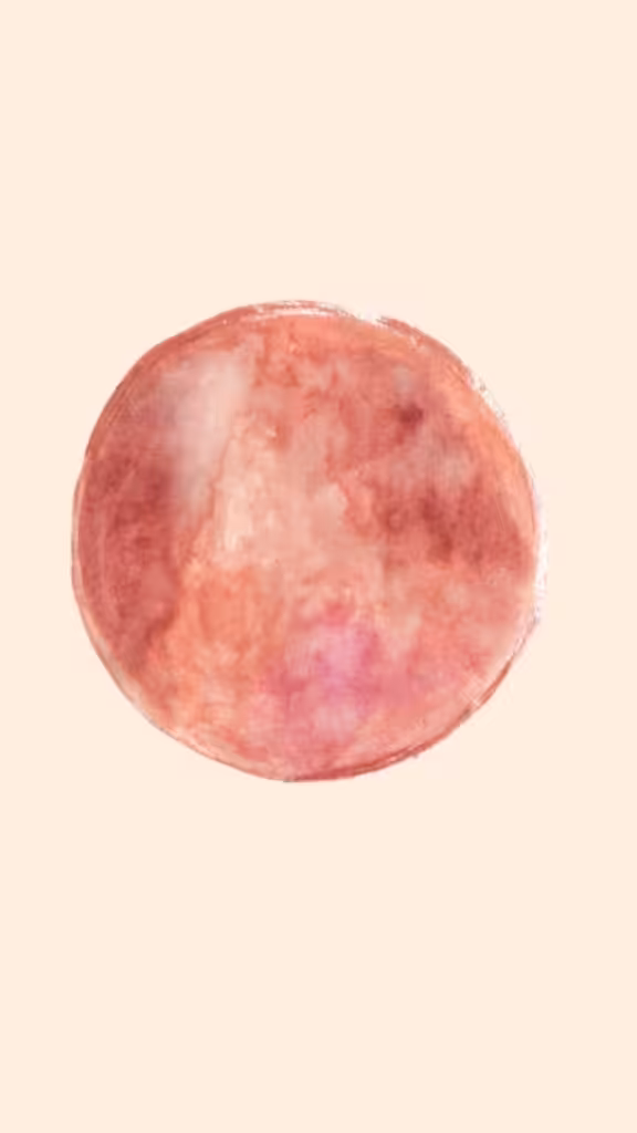1 1