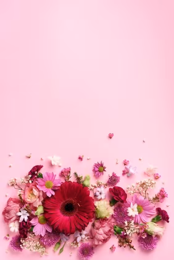 f82f4dd5edef9093b525df5549d60c6f