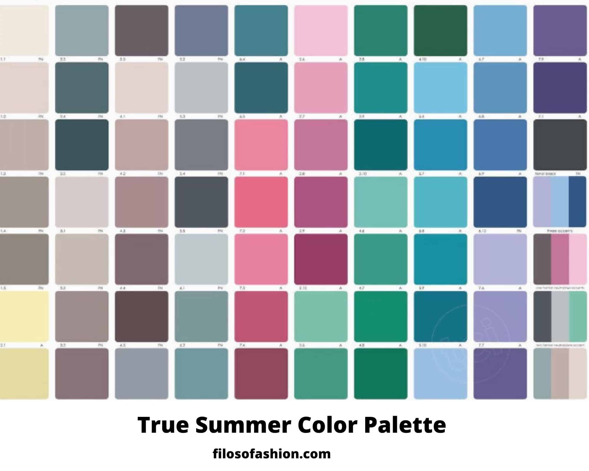 TRUE SUMMER COLOR PALETTE COLORS FOR SKIN WARDROBE One For All