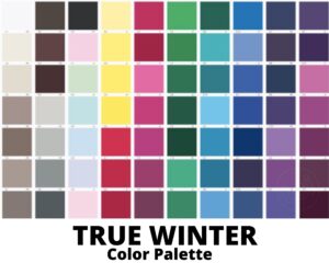 True Winter Color Palette For Wardrobe And Makeup