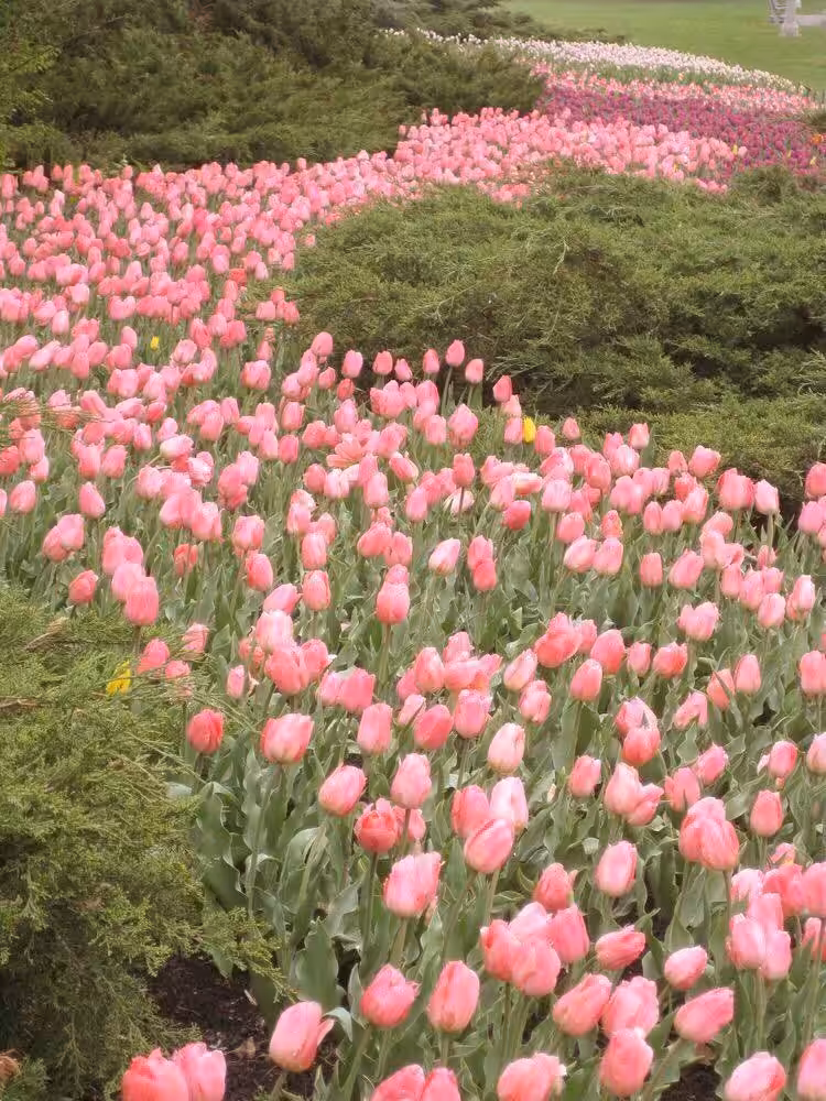 Bright Spring Color Palette
