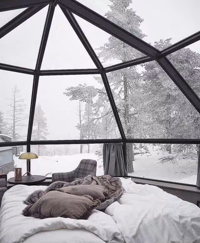 dark winter color palette