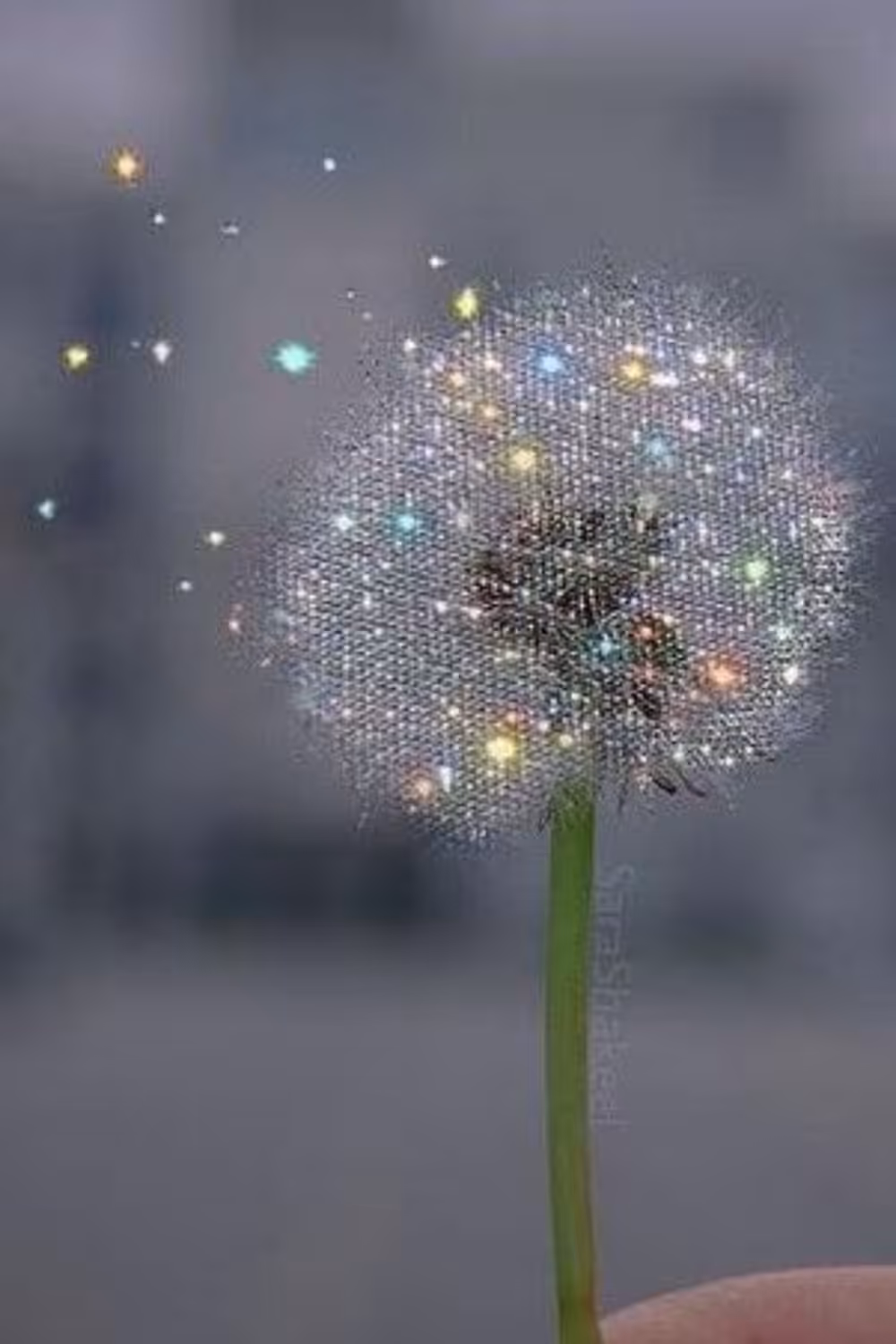 cute ipad wallpapers