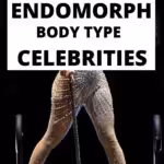 endomorph body type celebrities
