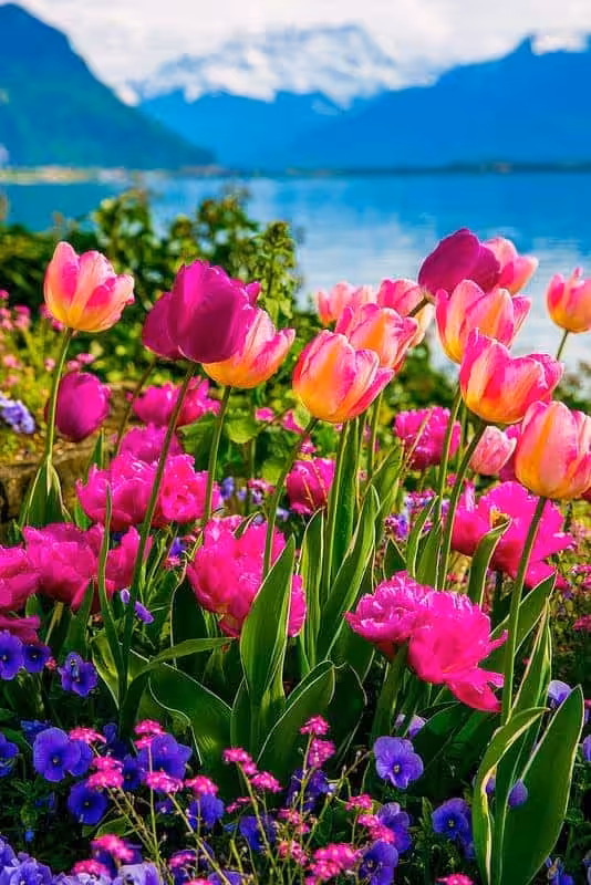 light spring color palette
