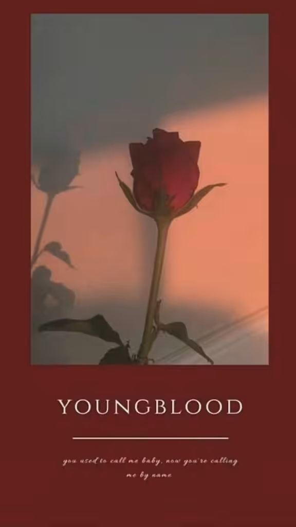 young rose 768x1366 1