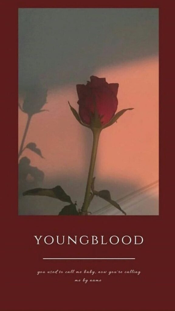 young rose 768x1366 1