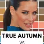 True Autumn Vs True Spring