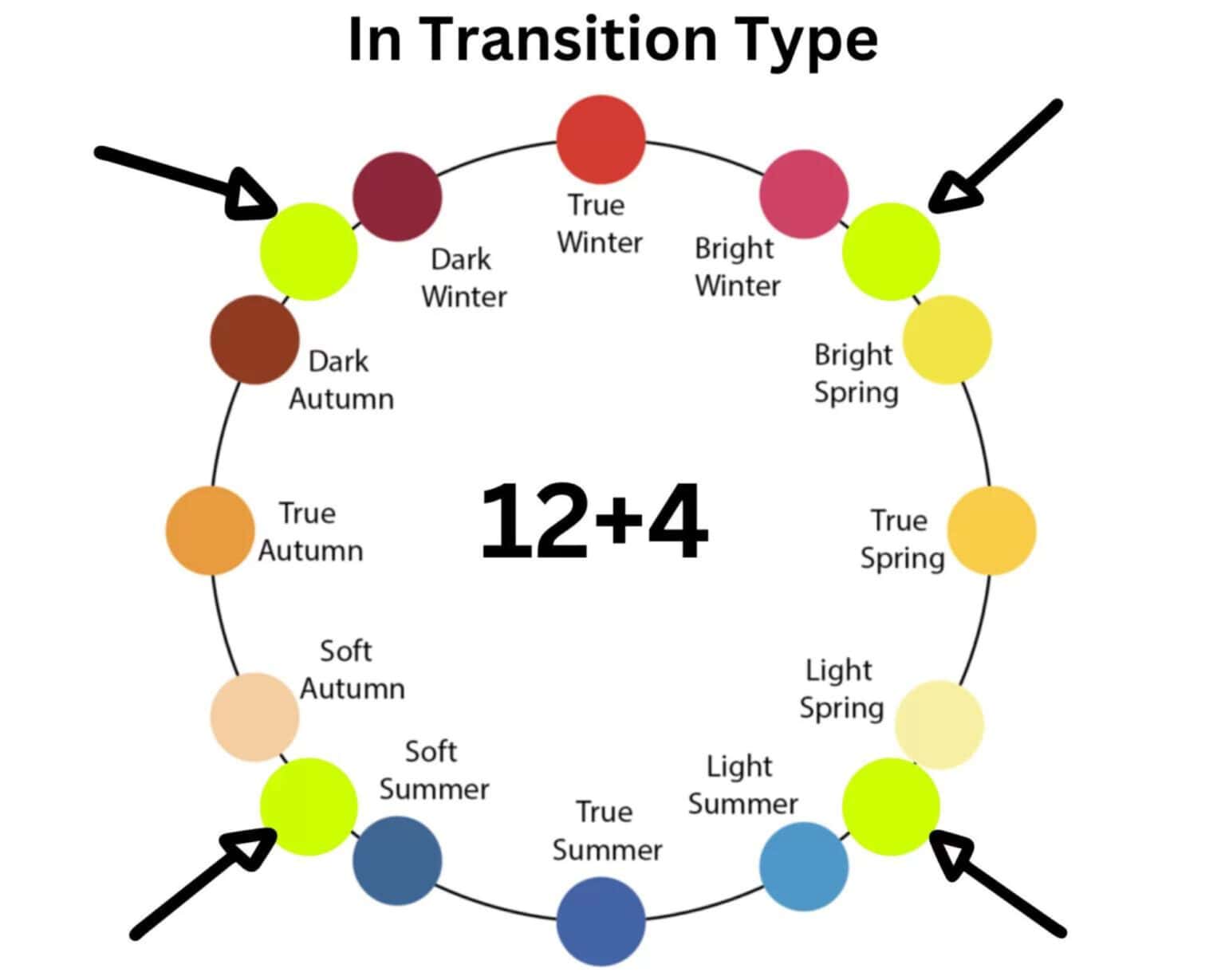 Soft Autumn Vs True Autumn Color Palette: In Transition Type