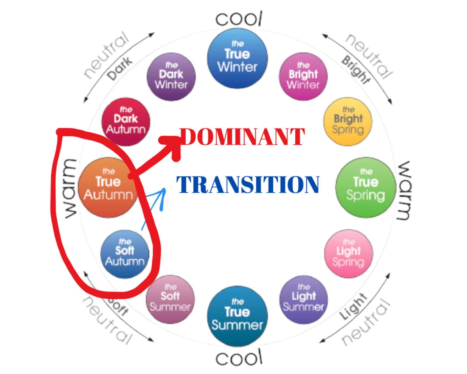 Soft Autumn Vs True Autumn Color Palette: In Transition Type