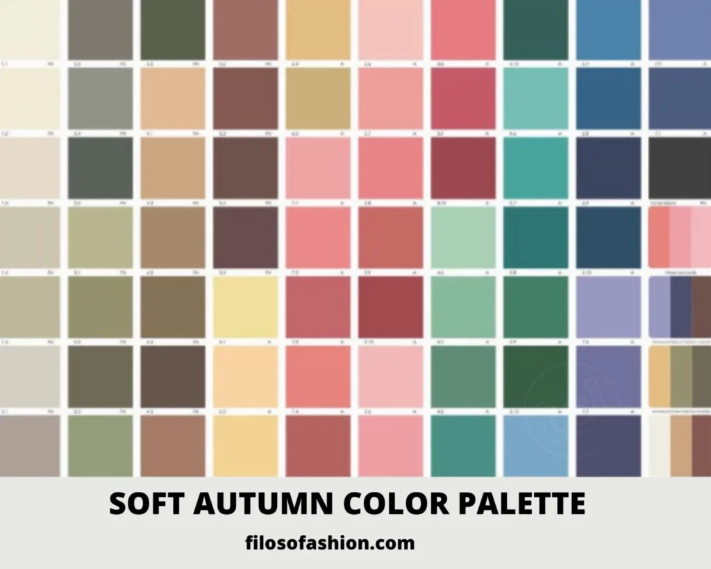 Soft Autumn Palette Misconceptions: And What's Up With Angelina Jolie