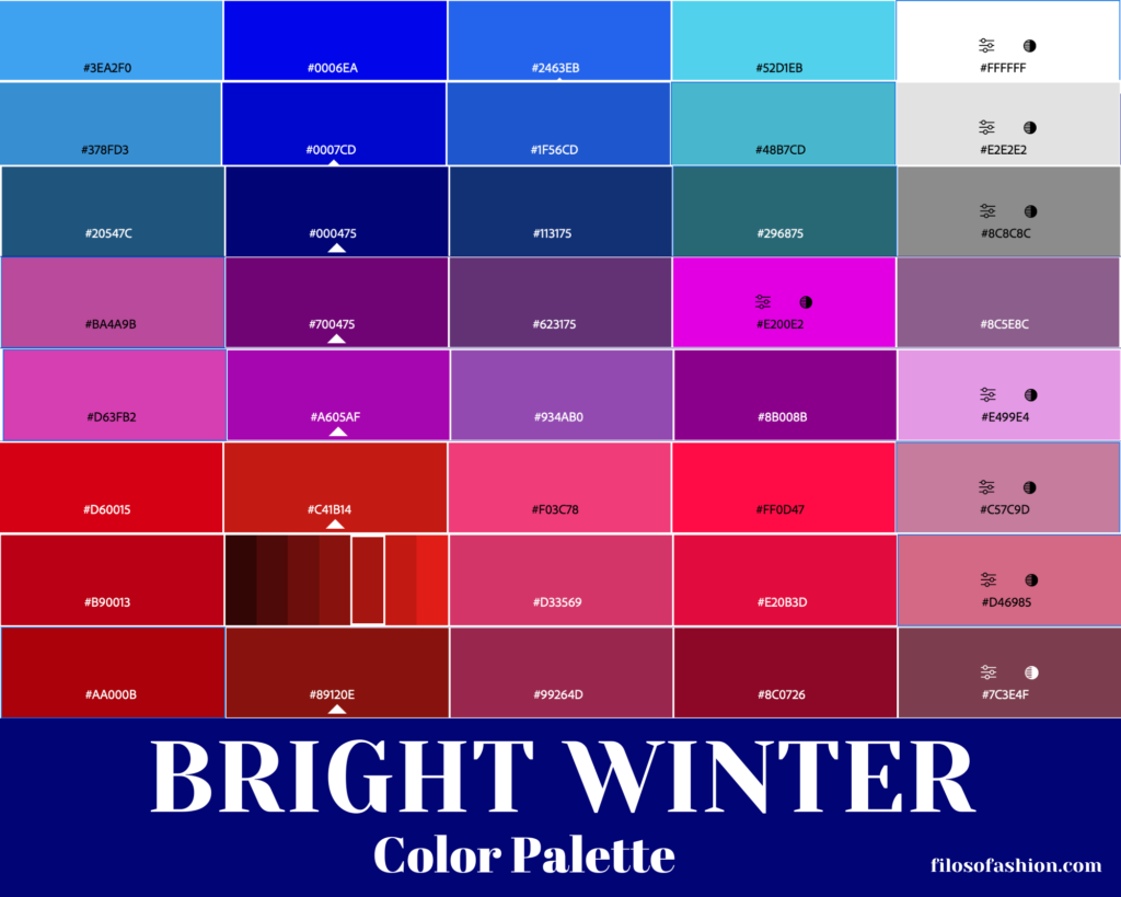 bright winter color palette