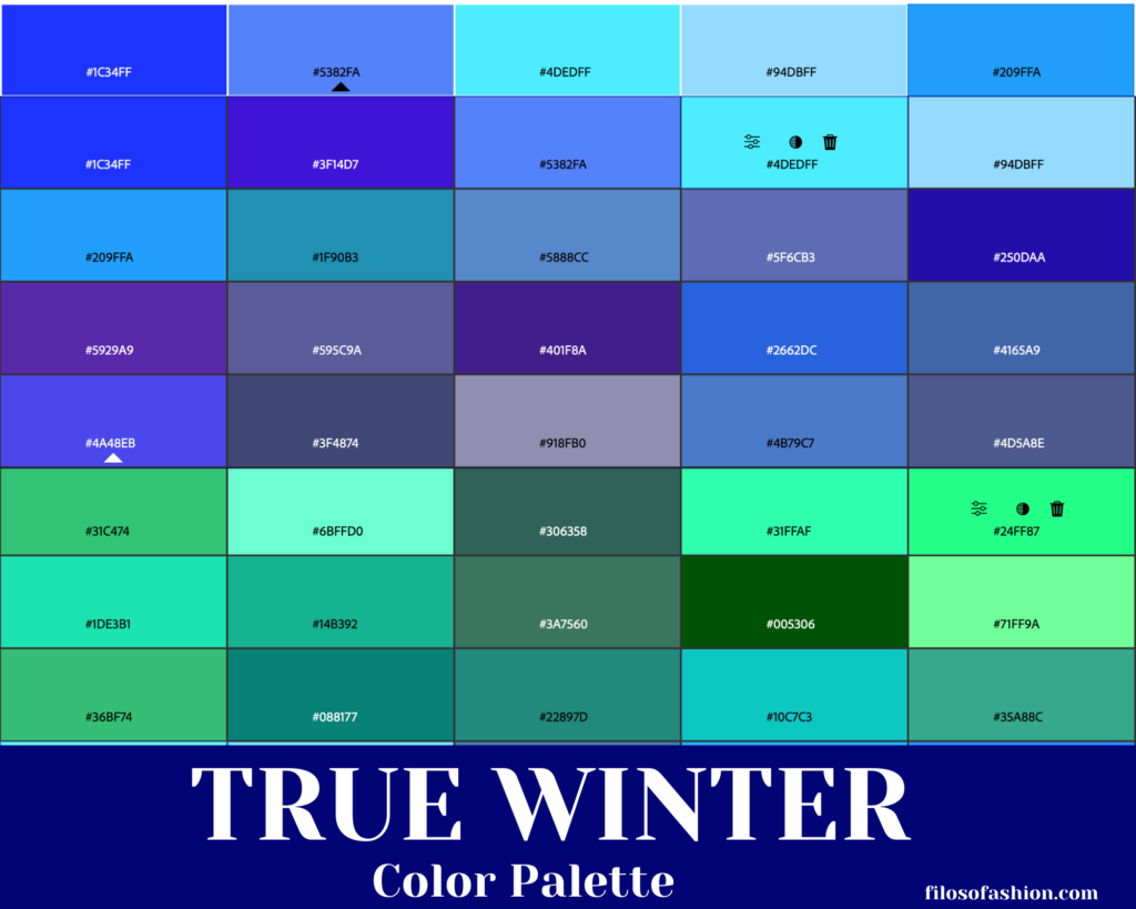true winter color palette