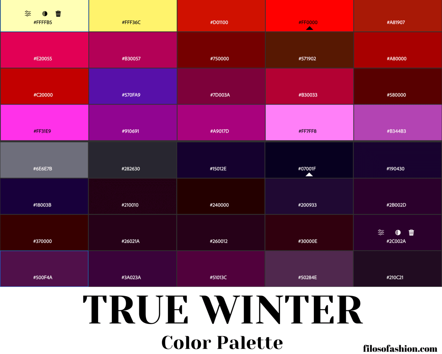 True Winter Color Palette For Wardrobe And Makeup