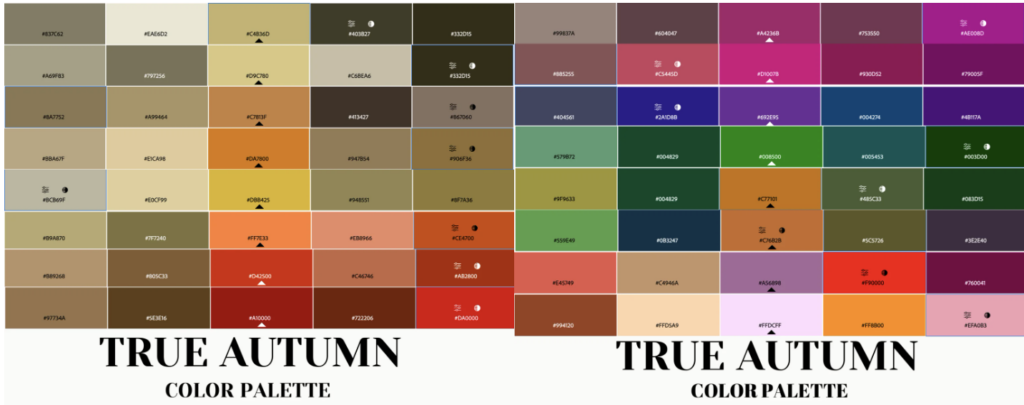 true autumn color palette